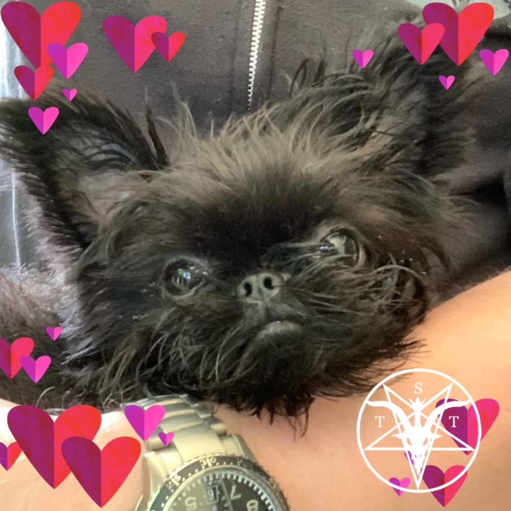 Meet your Posher, Azrael